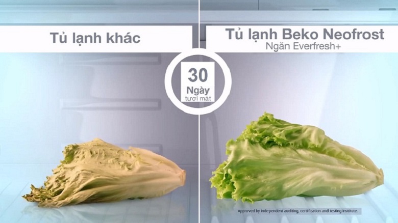 Công nghệ Everfresh+ - Tủ lạnh Beko Inverter 420 lít RDNT470E50VZJGB