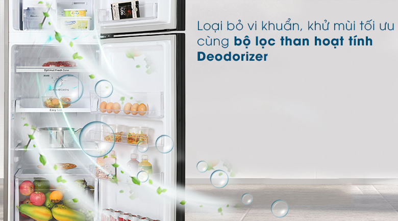 Bộ lọc than hoạt tính Bộ lọc than hoạt tính