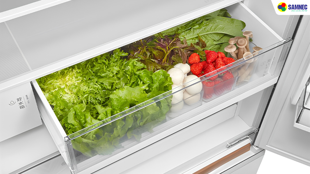 Ngăn mát của tủ lạnh Toshiba có dung tích 348 lít và ngăn đông 172 lít