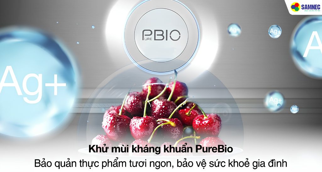 Bộ lọc PureBio sử dụng các tinh thể Bạc (Ag+) có khả năng ức chế vi khuẩn