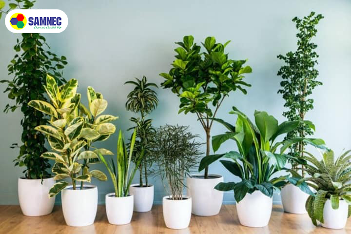 Sử dụng thêm biện pháp làm mát  Sử dụng thêm biện pháp làm mát