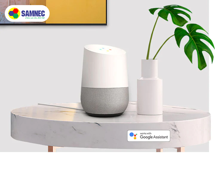 Control your TV with the Google Assistant