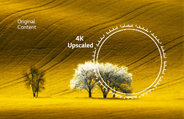 Hình ảnh về thiên nhiên, so sánh chất lượng hình ảnh mà nội dung không phải 4K và nội dung 4K nâng cấp.