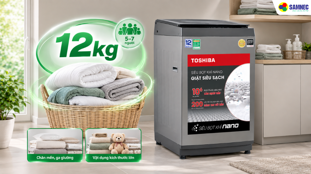 Máy giặt Toshiba AW-DK1300KV(SG) 