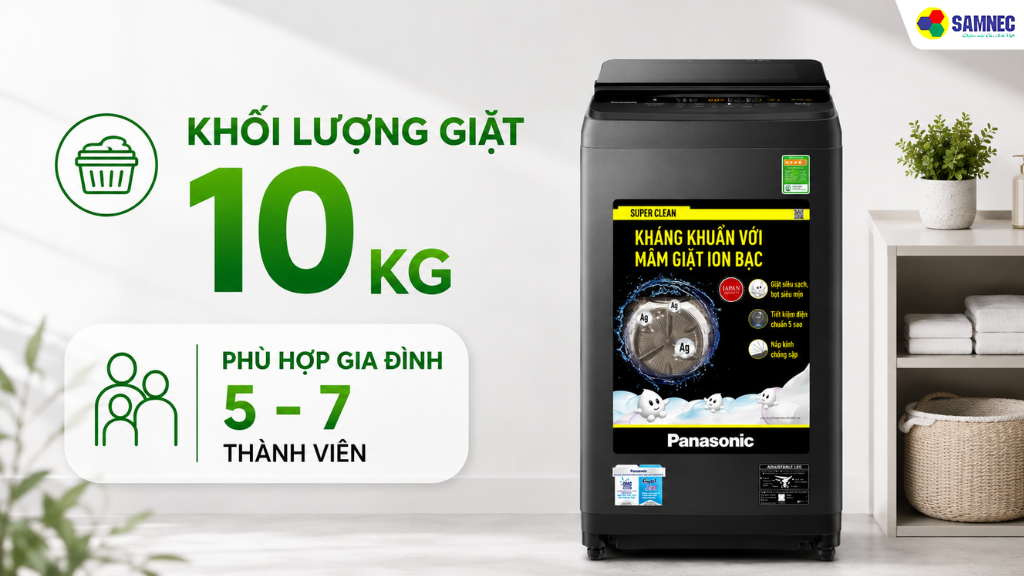 Máy giặt NA-F10S10BRV