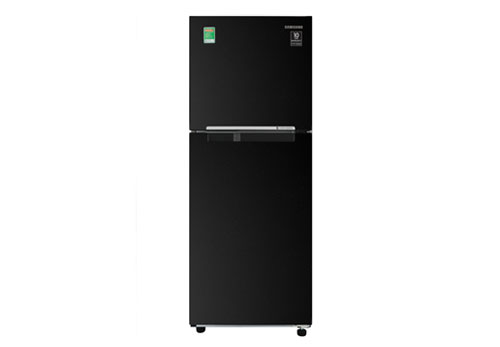 Tủ lạnh Samsung Inverter 208 lít RT20HAR8DBU/SV