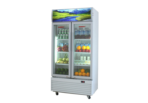 Tủ mát 2 cánh inverter Sanaky 700 lít VH8009HP3