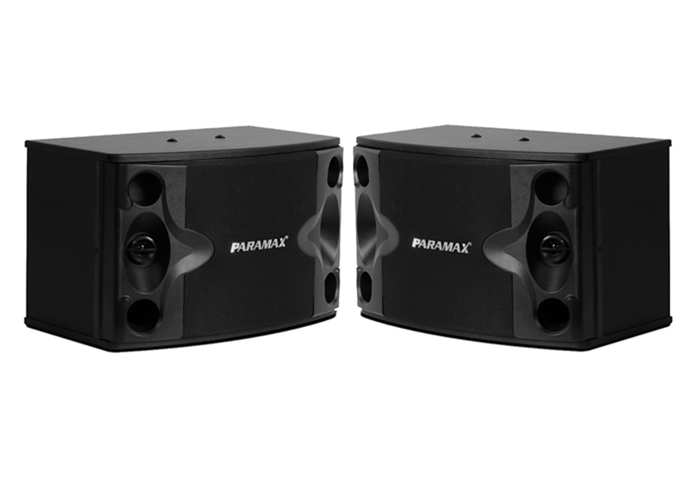 Loa Paramax P500