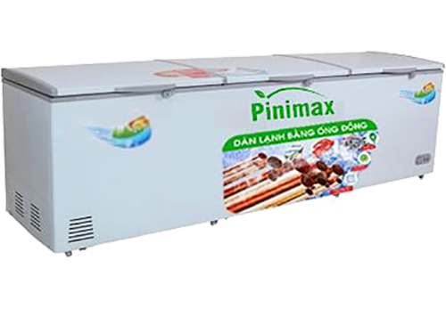 Tủ đông Pinimax 900 lít PNM119AF