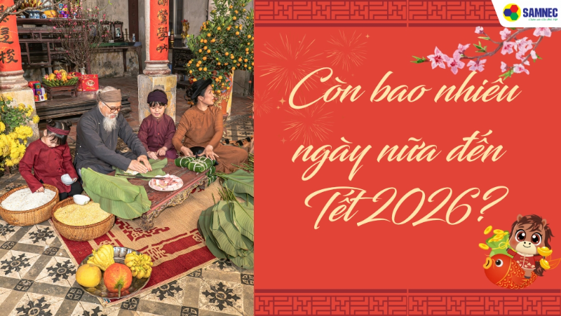 Đếm ngược còn bao nhiêu ngày nữa đến Tết Bính Ngọ 2026?