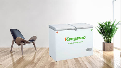 Muốn tủ đông hoạt động bền bỉ, bạn chỉ cẩn lưu ý những điều này